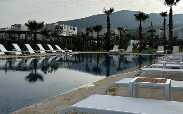 Отель Playa Del Pacha Suites