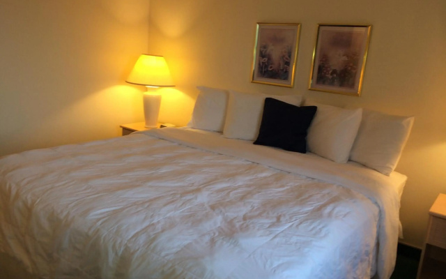 Americas Best Value Inn & Suites Bluffton