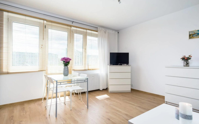 Homely apartment near the sea