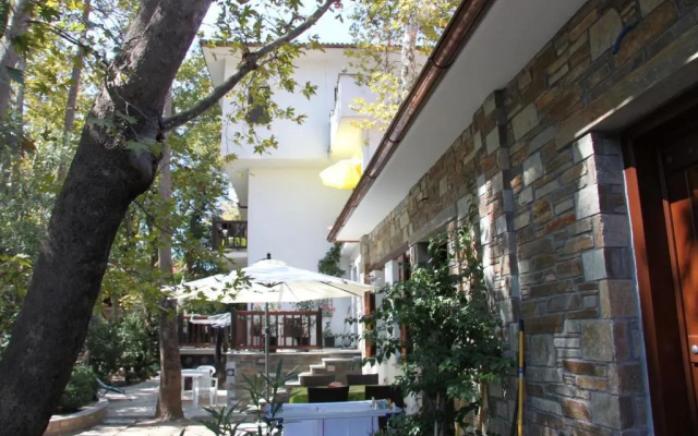 PLATANOFYLLA Pelion Apartment No10