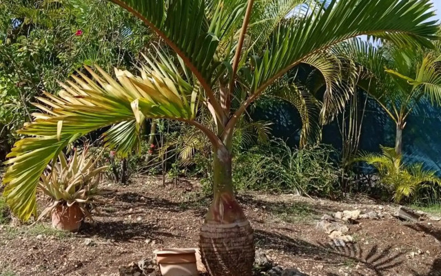 2 L'Oranger, résidence de départ de vos escapades