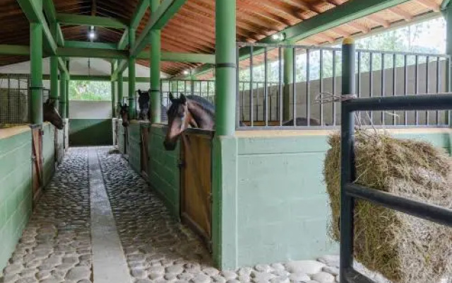 Finca El Diamante