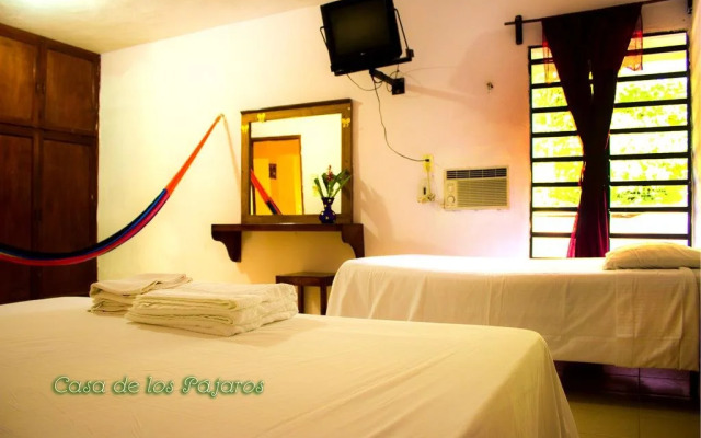 Casa De Los Pájaros - B&B
