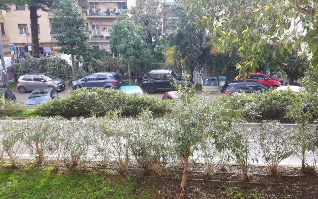Marilena - La Bouganville