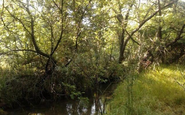 Wood Cabin by the River - for Nature Lovers