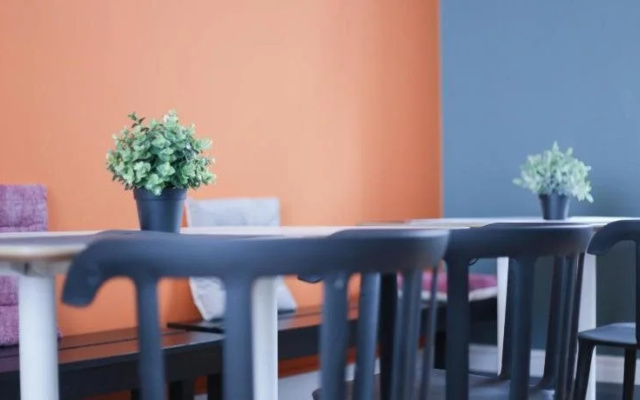 Procyon Boutique & Suites