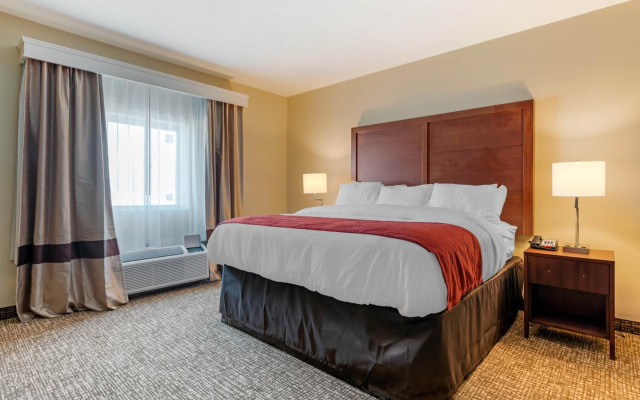 Comfort Inn & Suites Michigan City South