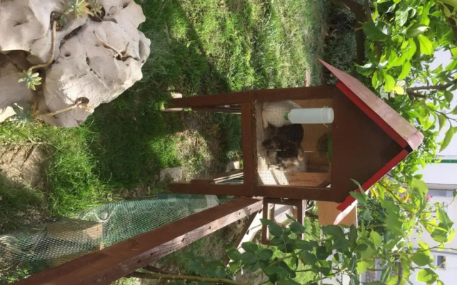 Apartmani Zorica