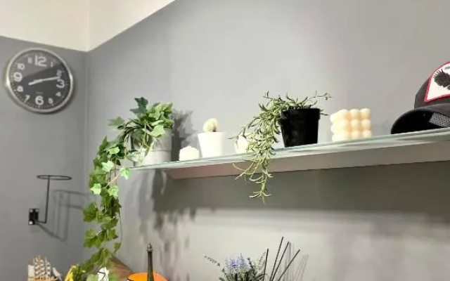 Mini Smart Studio