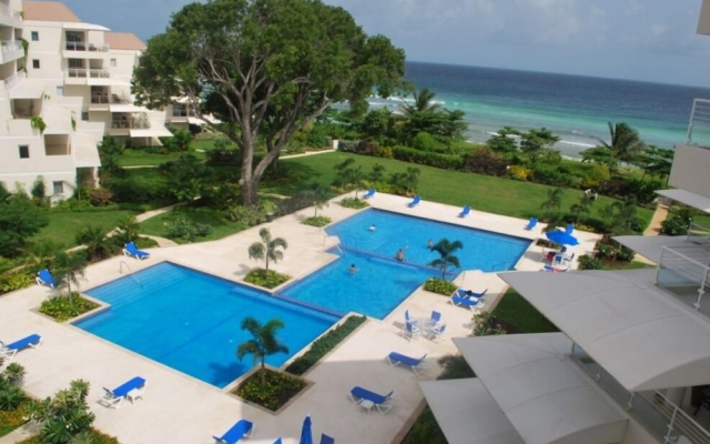 Palm Beach 302