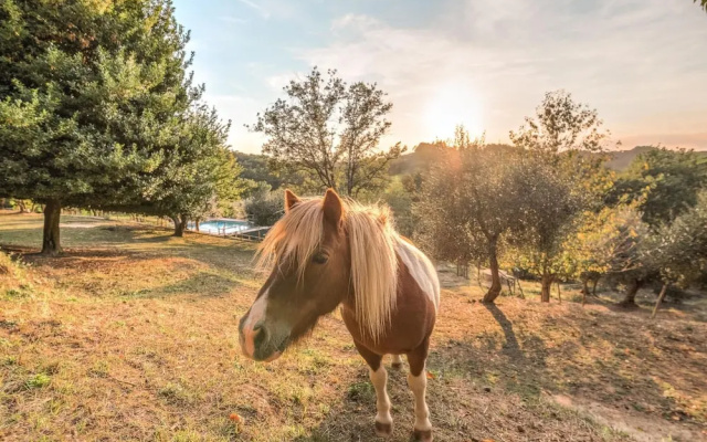 Farmhouse in Tuscany With Pool & Near Pisa