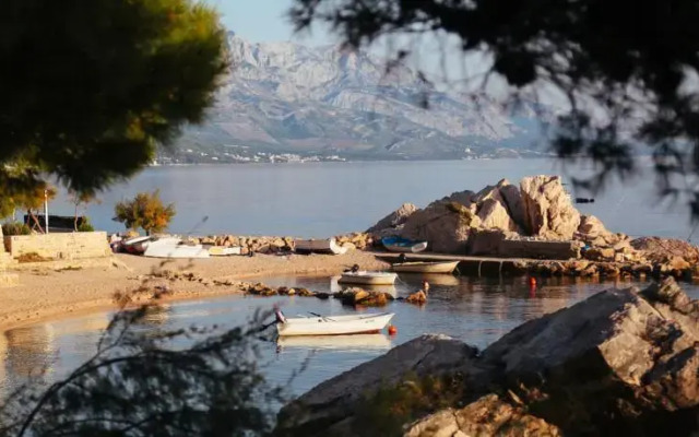 Beachfront Apartment In Dalmatia