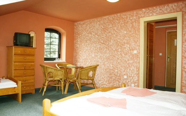 Hotel Aurum Černý Důl