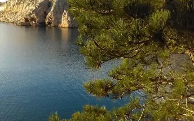 Ruža i Natalija