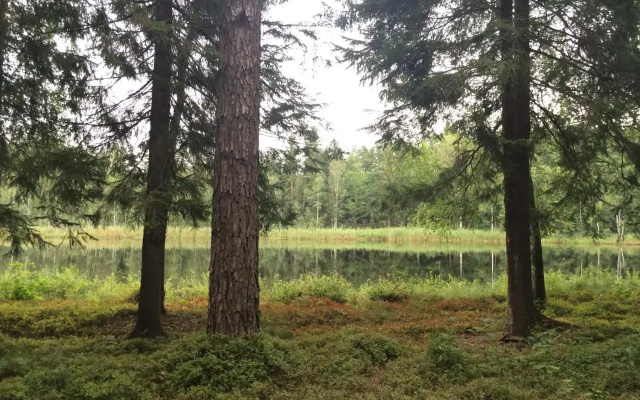 Domek Letniskowy Na Mazurach