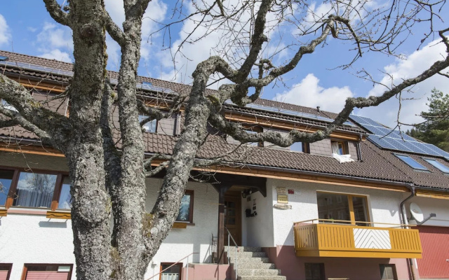 Kuckucksnester Menzenschwand (Vorderdorf)