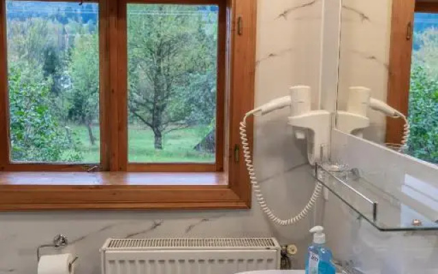 Pensiunea Poiana de Vis