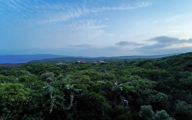 Shindola Residency
