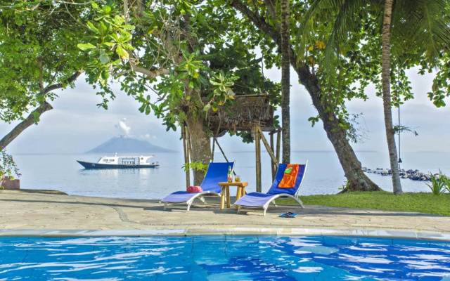 Cocotinos Manado