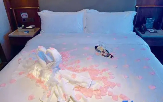TILL BRIGHT HOTEL (Yiyang Heshan District Pedestrian Street Branch)