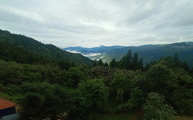 Laxmi Homestay Lepcha Jagat