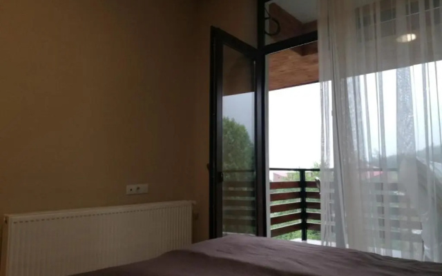 Studio in Bakuriani City