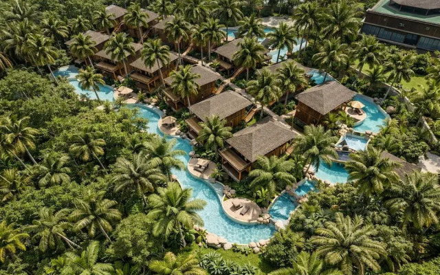 Kappa Senses Zanzibar