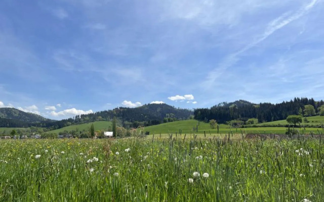 Schauinsland