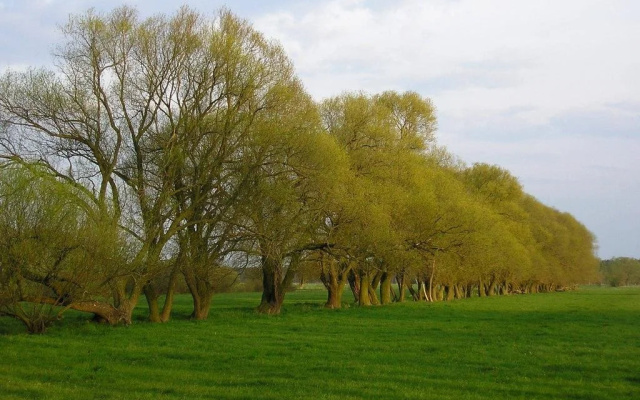 Parkhotel Schönewalde