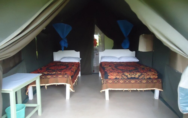 Rhino Camp