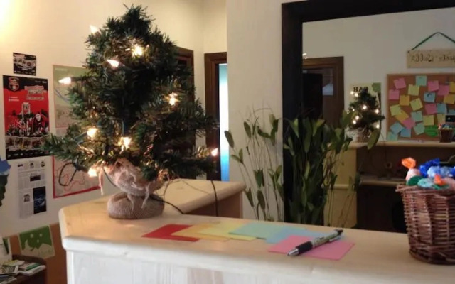 B&B Evergreen