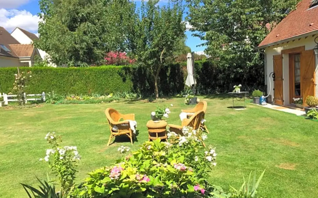 Les Prémices De La Forêt