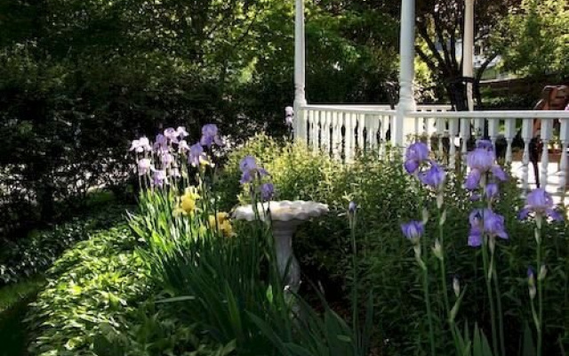 Thornton House Bed and Breakfast