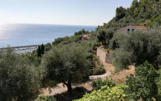 Ariadimare guest house