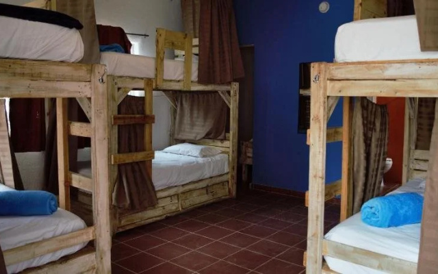 Peace Hostel
