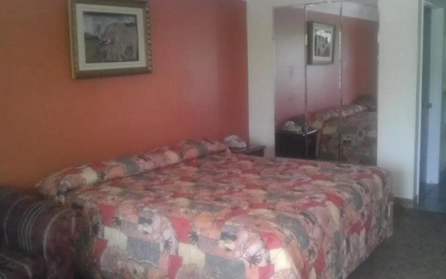Tweetys 9 Diamond Inn