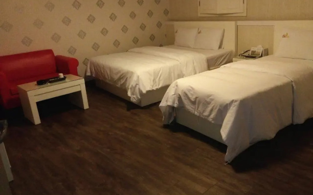 Gangneung Cats motel
