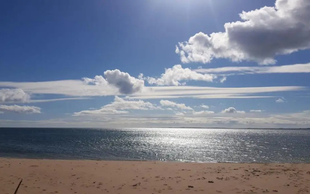 No42 Wild Goose