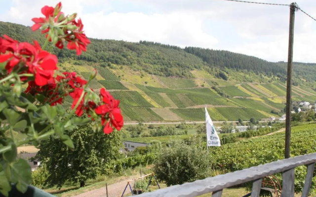 Weingut-Brennerei-Gästehaus Emil Dauns