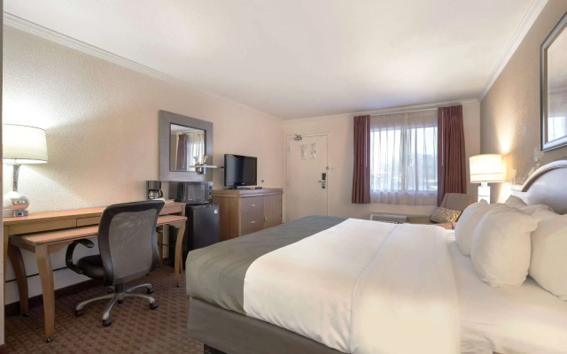 Quality Inn & Suites Lake Havasu City