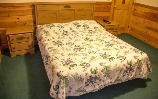 24 Bear Trax - 3 Br Cabin