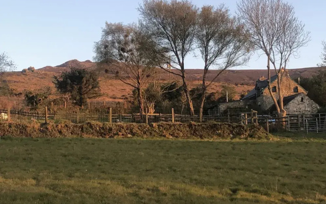 Penfeidr Newydd