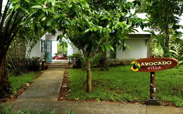 Madagui Forest City
