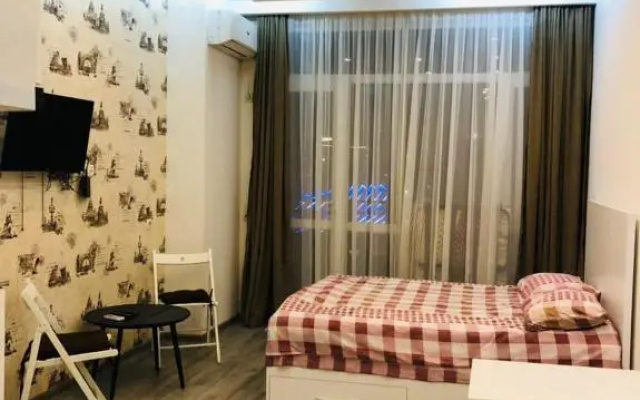 Studio on Pirosmani