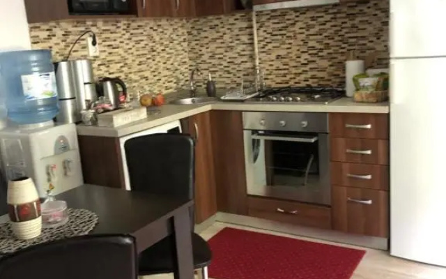 Xenopol Central Apartment
