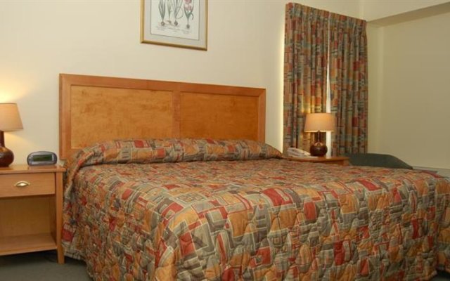 Отель Summerland Motel ОАЭ, Шарджа - 1 отзыв об отеле, цены и фото номеров - забронировать отель Summerland Motel онлайн комната для гостей