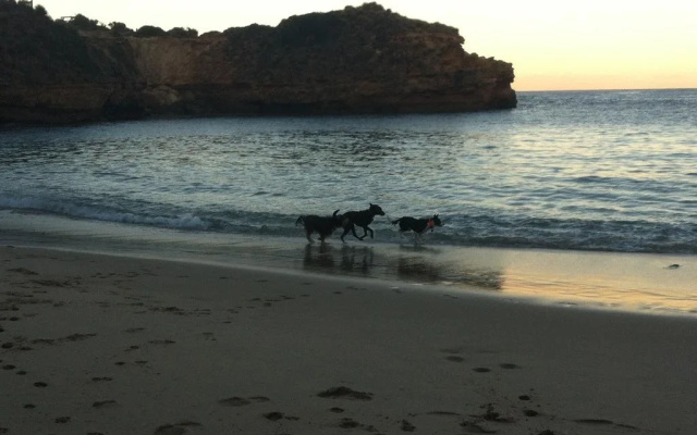 Bayplay Cottage And Portsea Apartments