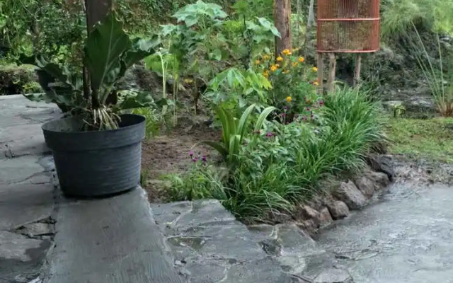 @Niek Homestay