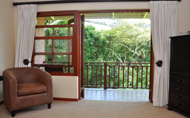 Birds of paradise B&B