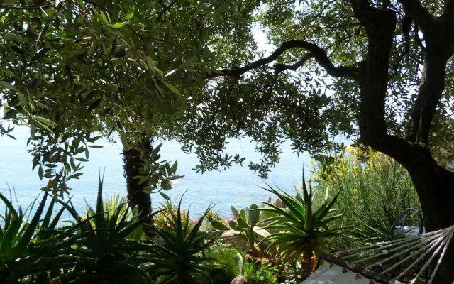 House Limone